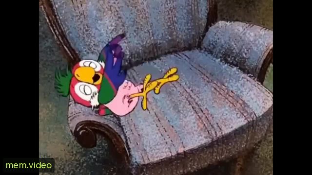 Кадр на 0:00