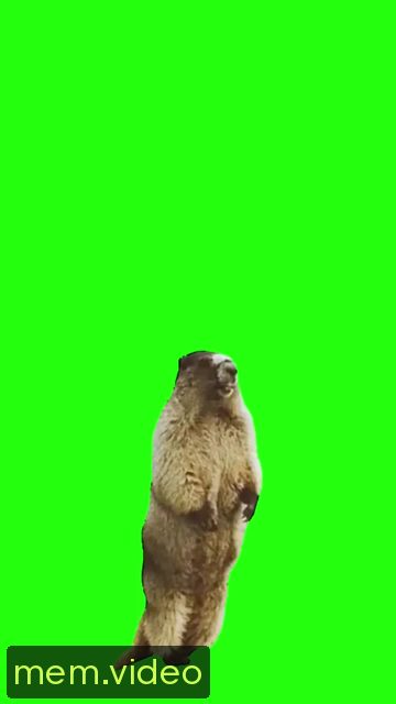 Кадр на 0:00