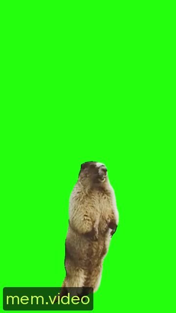 Кадр на 0:01