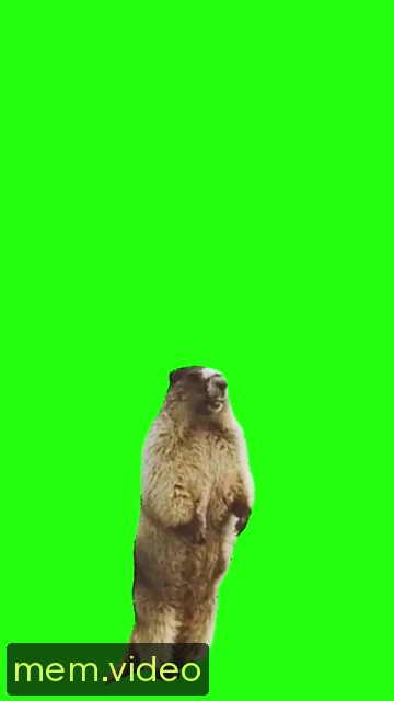 Кадр на 0:02