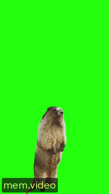 Кадр на 0:04