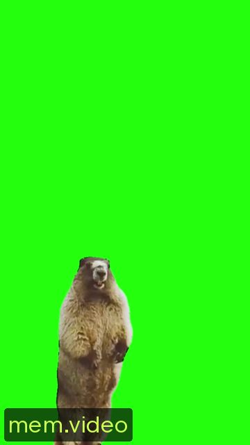 Кадр на 0:07