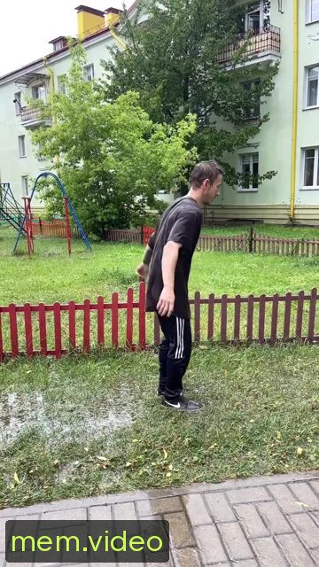 Кадр на 0:00