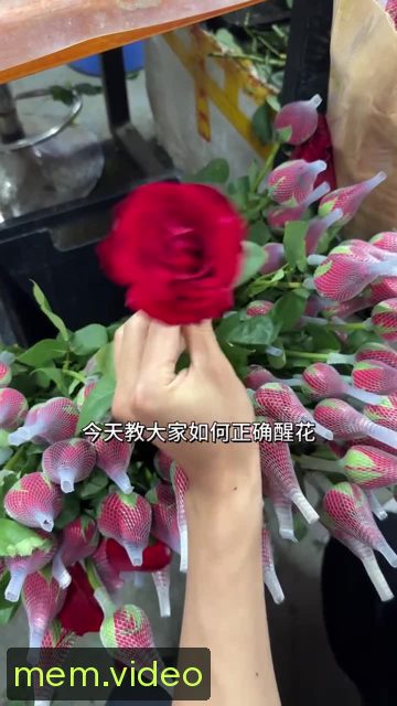 Кадр на 0:03