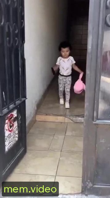 Кадр на 0:00
