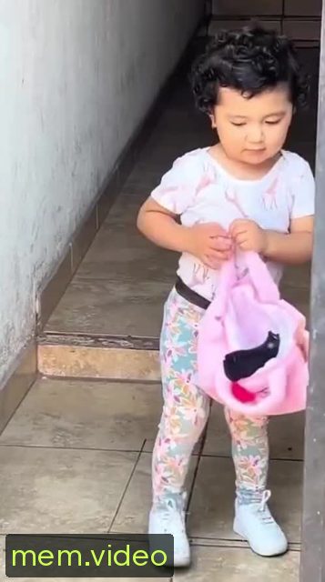 Кадр на 0:04