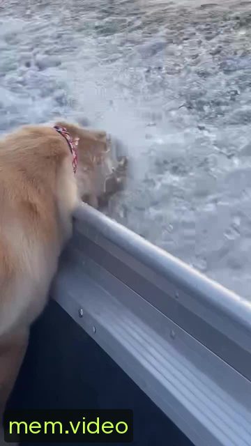 Кадр на 0:01