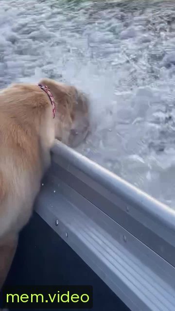 Кадр на 0:01