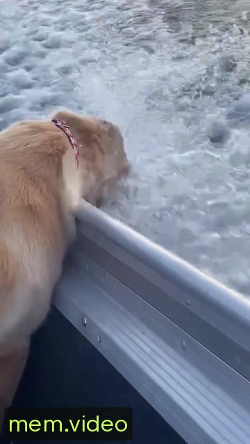 Кадр на 0:01