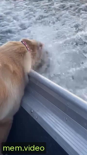 Кадр на 0:02