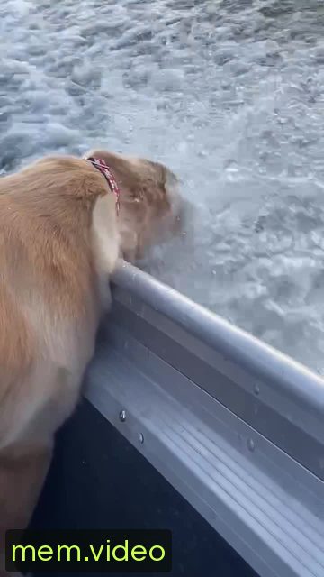 Кадр на 0:02