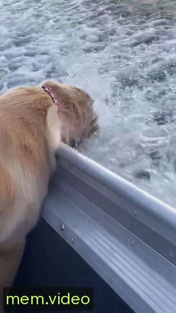 Кадр на 0:02