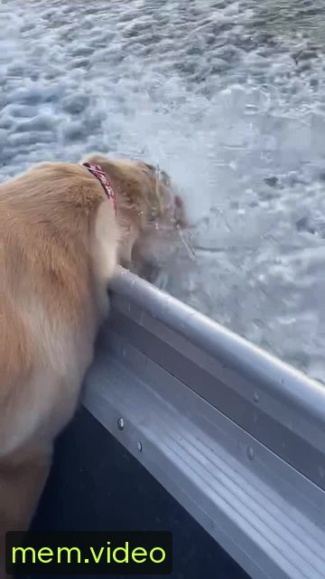 Кадр на 0:02