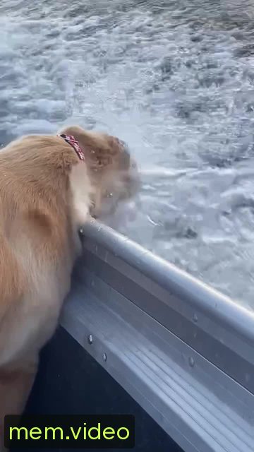 Кадр на 0:03