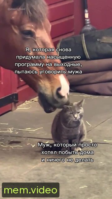 Кадр на 0:00