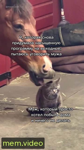 Кадр на 0:01