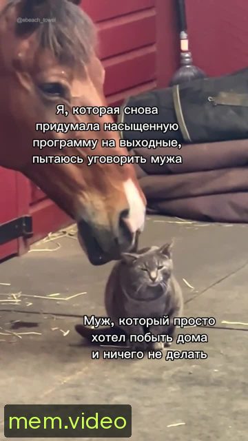 Кадр на 0:02