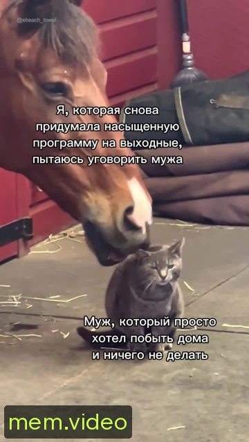 Кадр на 0:02