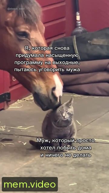 Кадр на 0:03