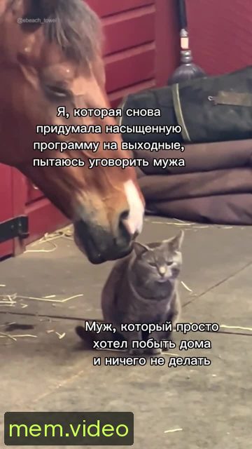 Кадр на 0:04