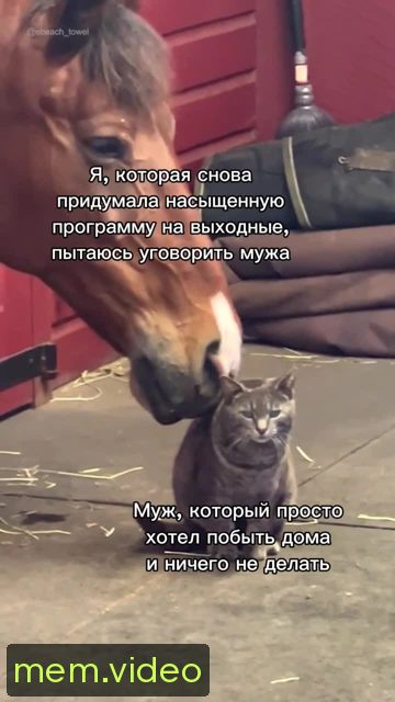 Кадр на 0:05