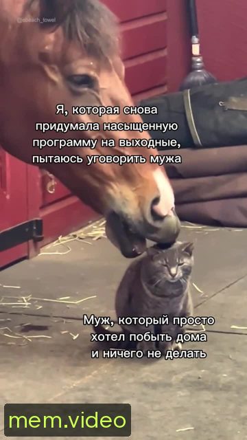 Кадр на 0:06