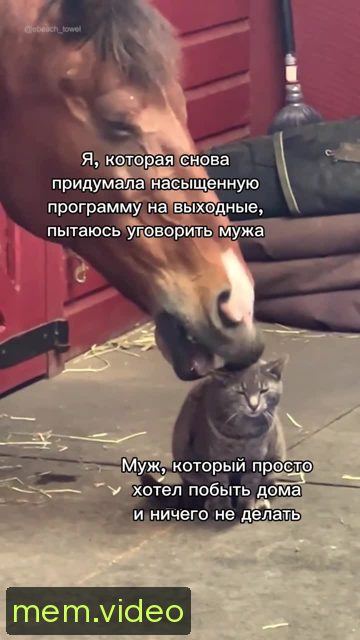 Кадр на 0:06