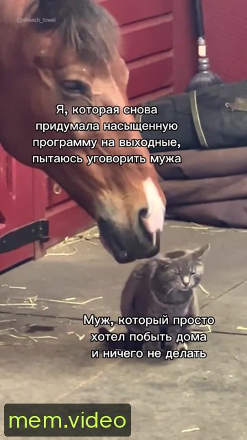 Кадр на 0:07
