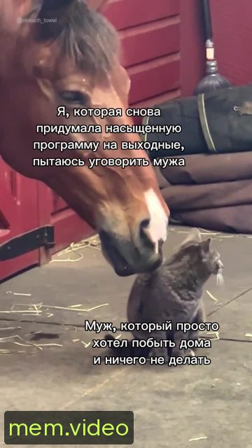 Кадр на 0:08