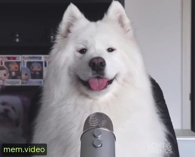 Кадр на 0:00