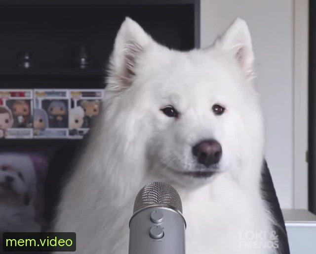 Кадр на 0:12