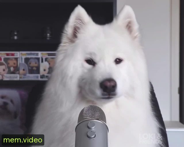 Кадр на 0:15