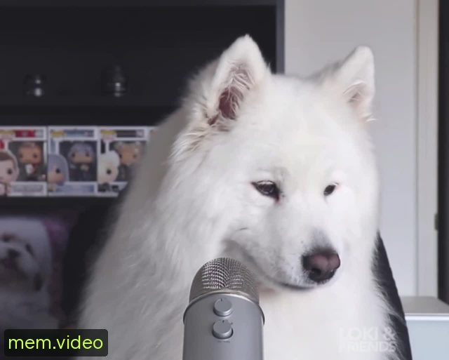 Кадр на 0:27