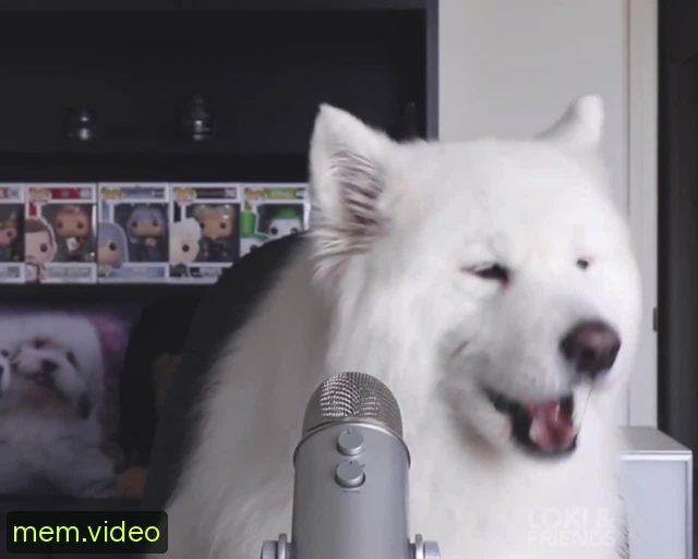 Кадр на 0:33