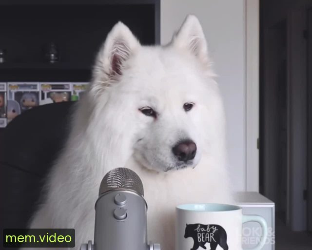 Кадр на 1:00