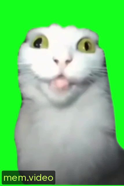 Кадр на 0:00