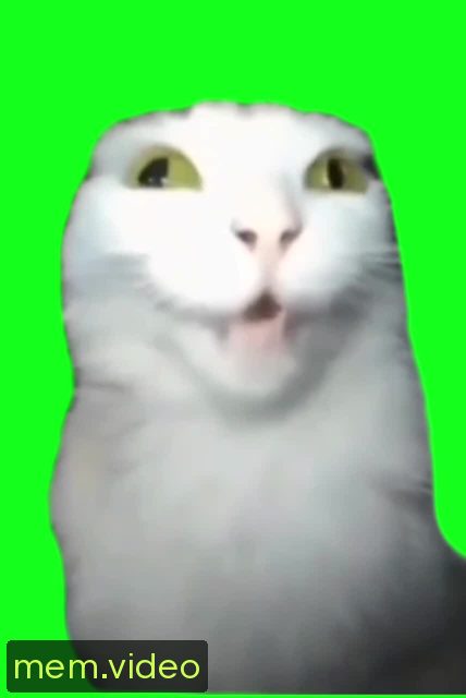 Кадр на 0:01
