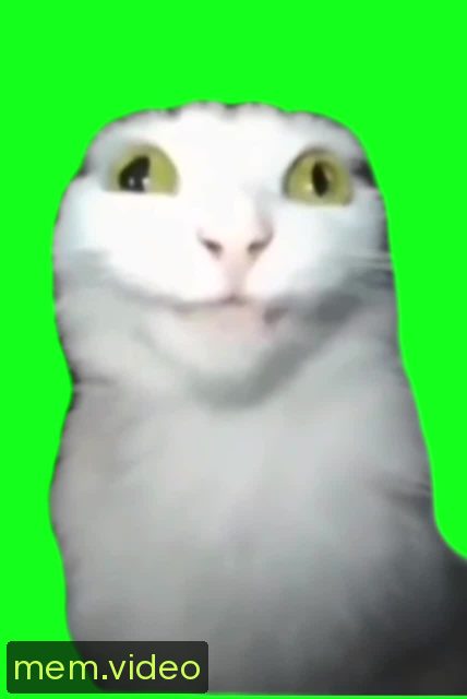Кадр на 0:03
