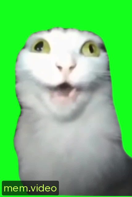 Кадр на 0:04