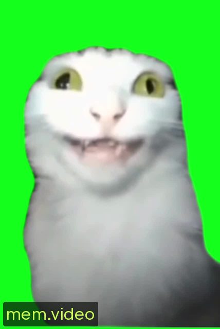 Кадр на 0:06