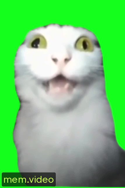 Кадр на 0:07