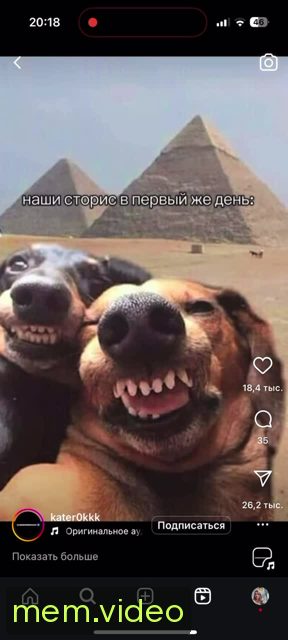 Кадр на 0:04