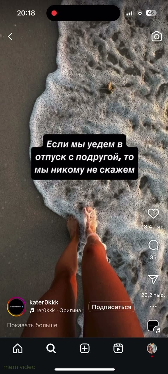 Кадр: Две собаки скалятся на фоне египетских пирамид