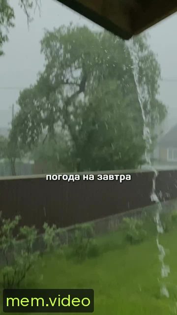 Кадр на 0:00