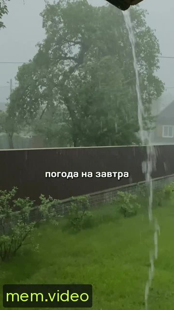 Кадр на 0:00