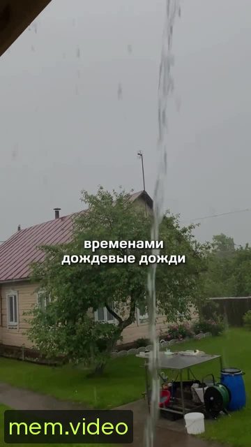 Кадр на 0:03