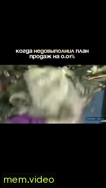 Кадр на 0:06