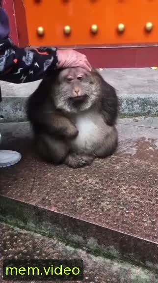 Кадр на 0:01