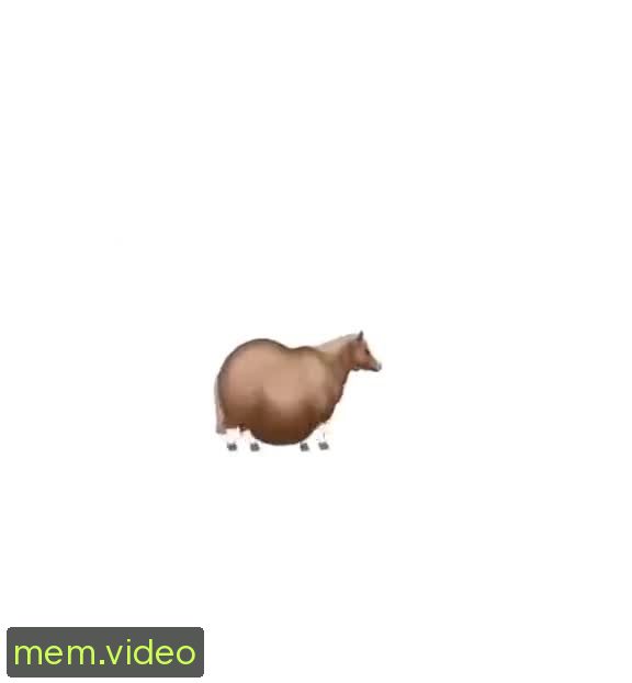 Кадр на 0:01