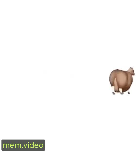 Кадр на 0:06